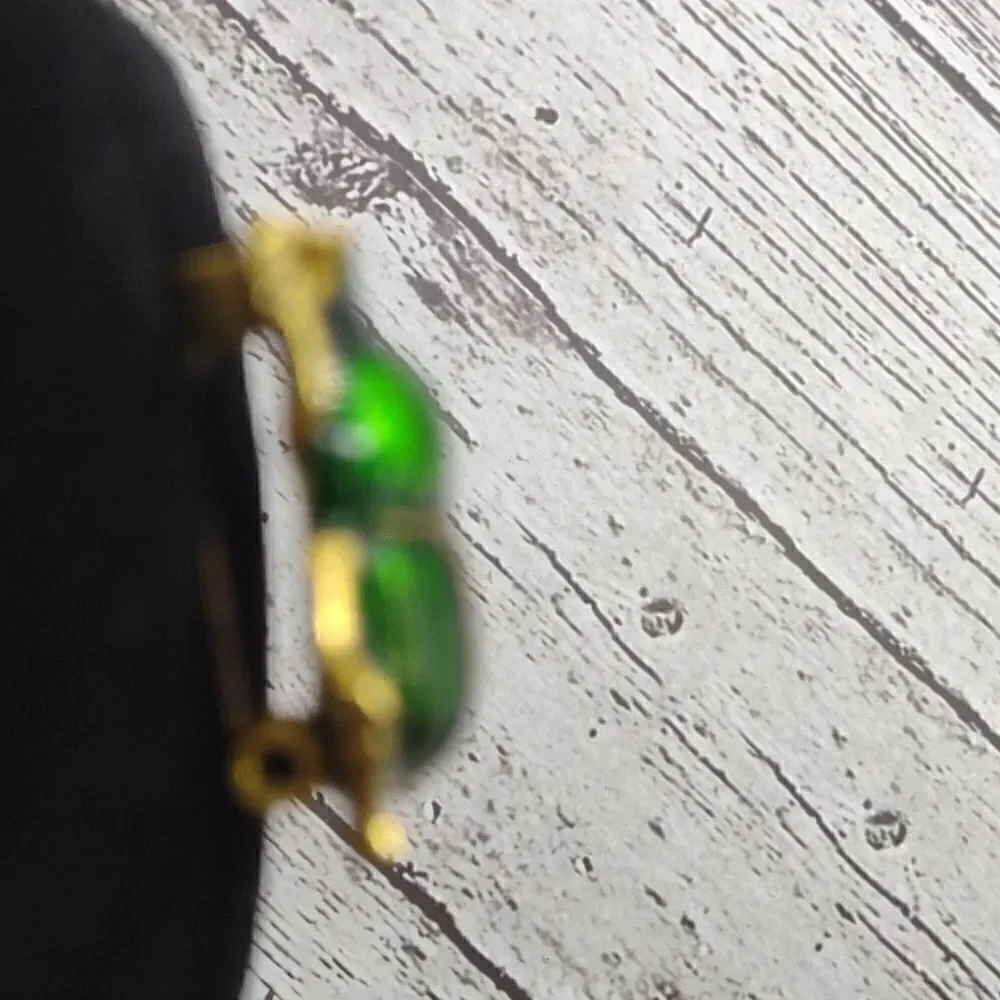 Beetle Brooch Pin.  P1